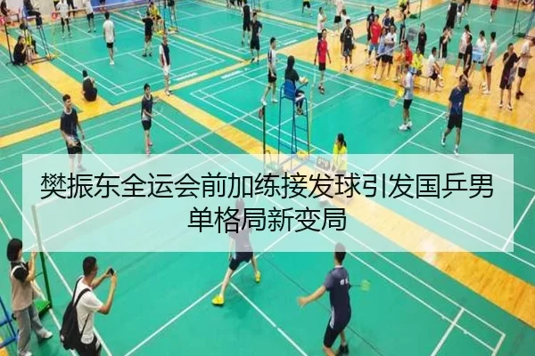 樊振东全运会前加练接发球引发国乒男单格局新变局